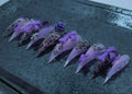 Lilac Omen
